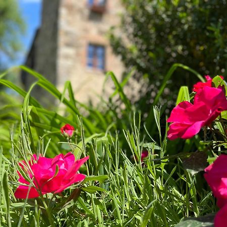 Apartmán Mulino In Chianti Gaiole in Chianti Exteriér fotografie