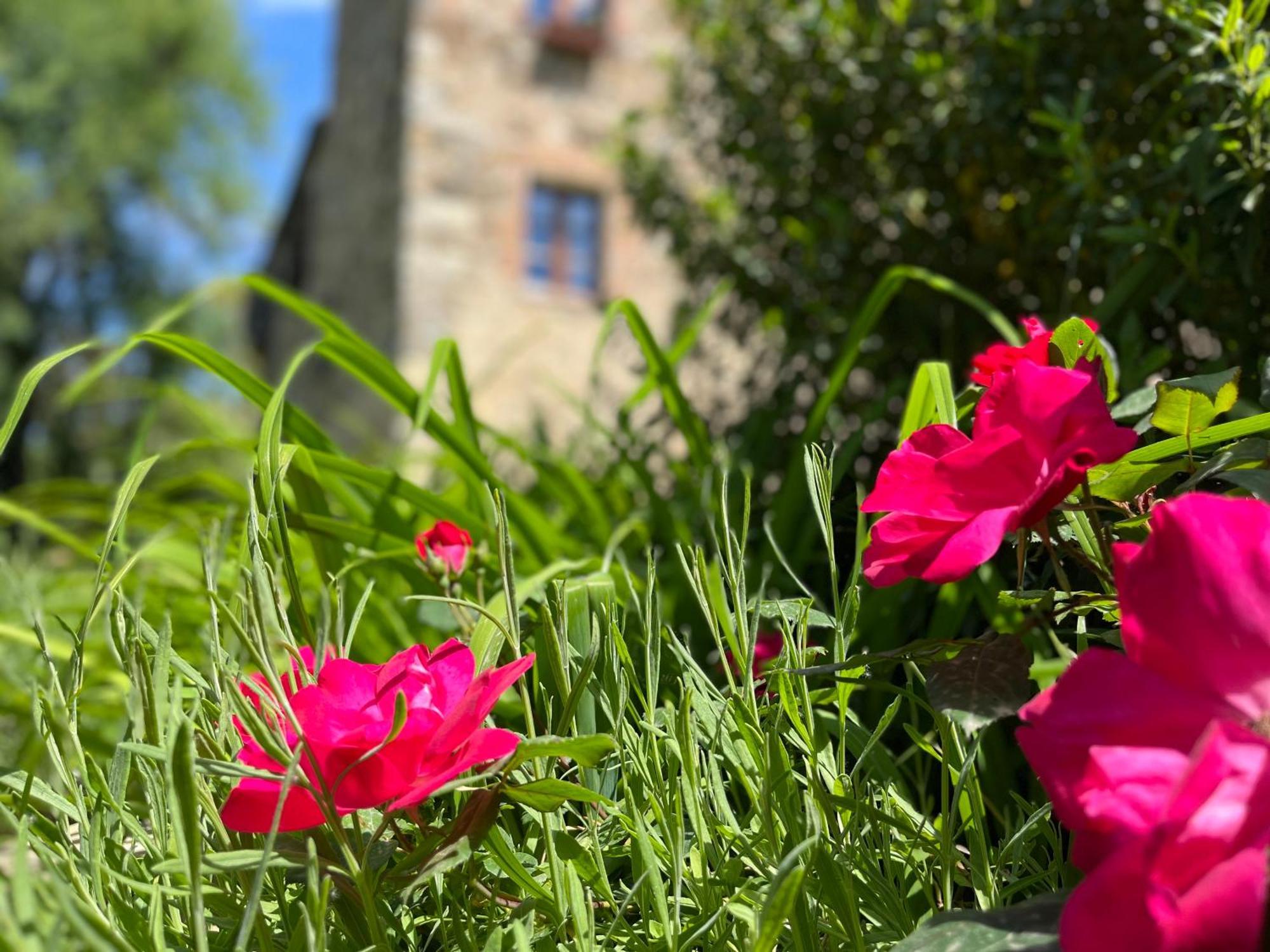 Apartmán Mulino In Chianti Gaiole in Chianti Exteriér fotografie