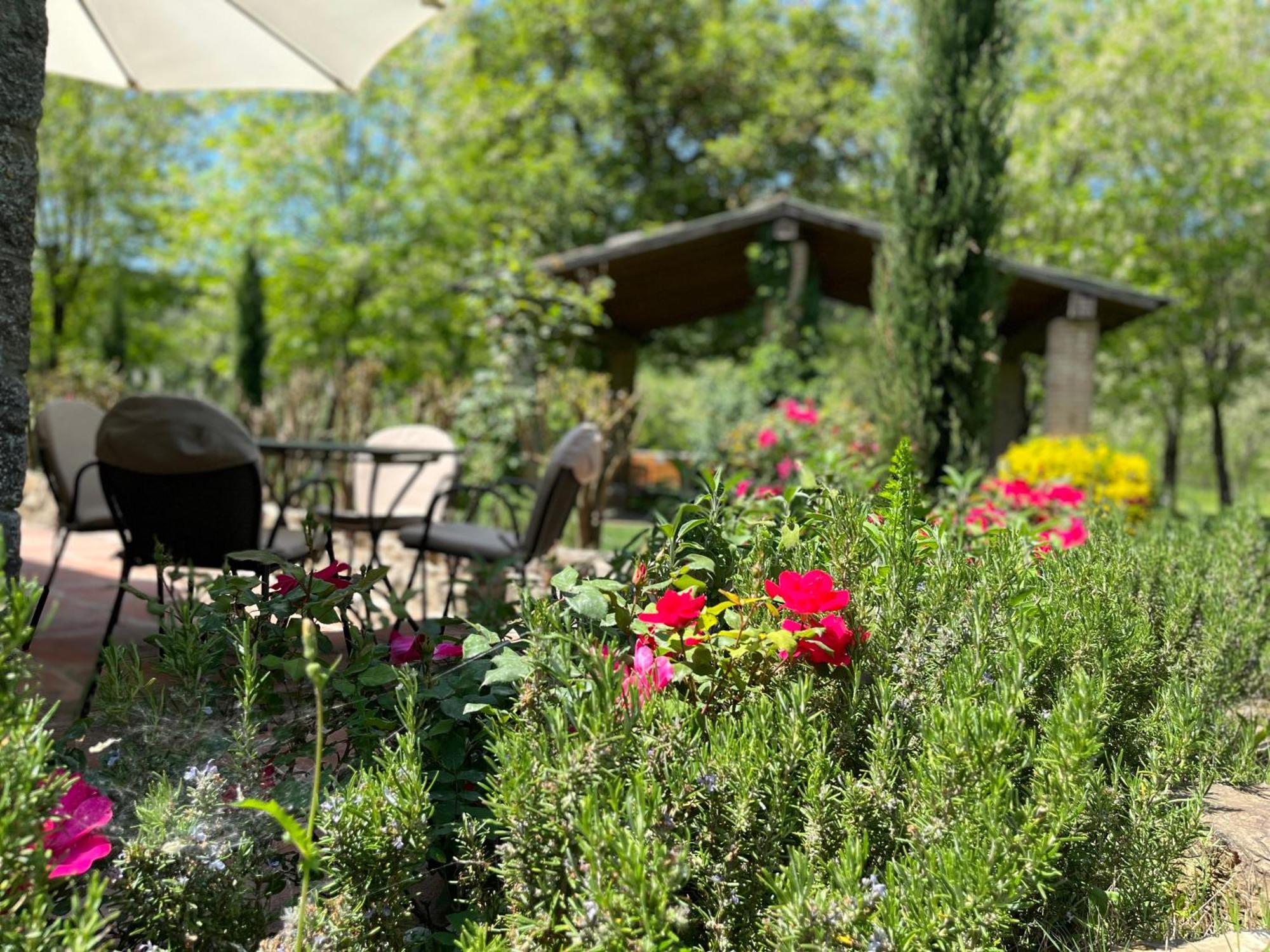 Apartmán Mulino In Chianti Gaiole in Chianti Exteriér fotografie