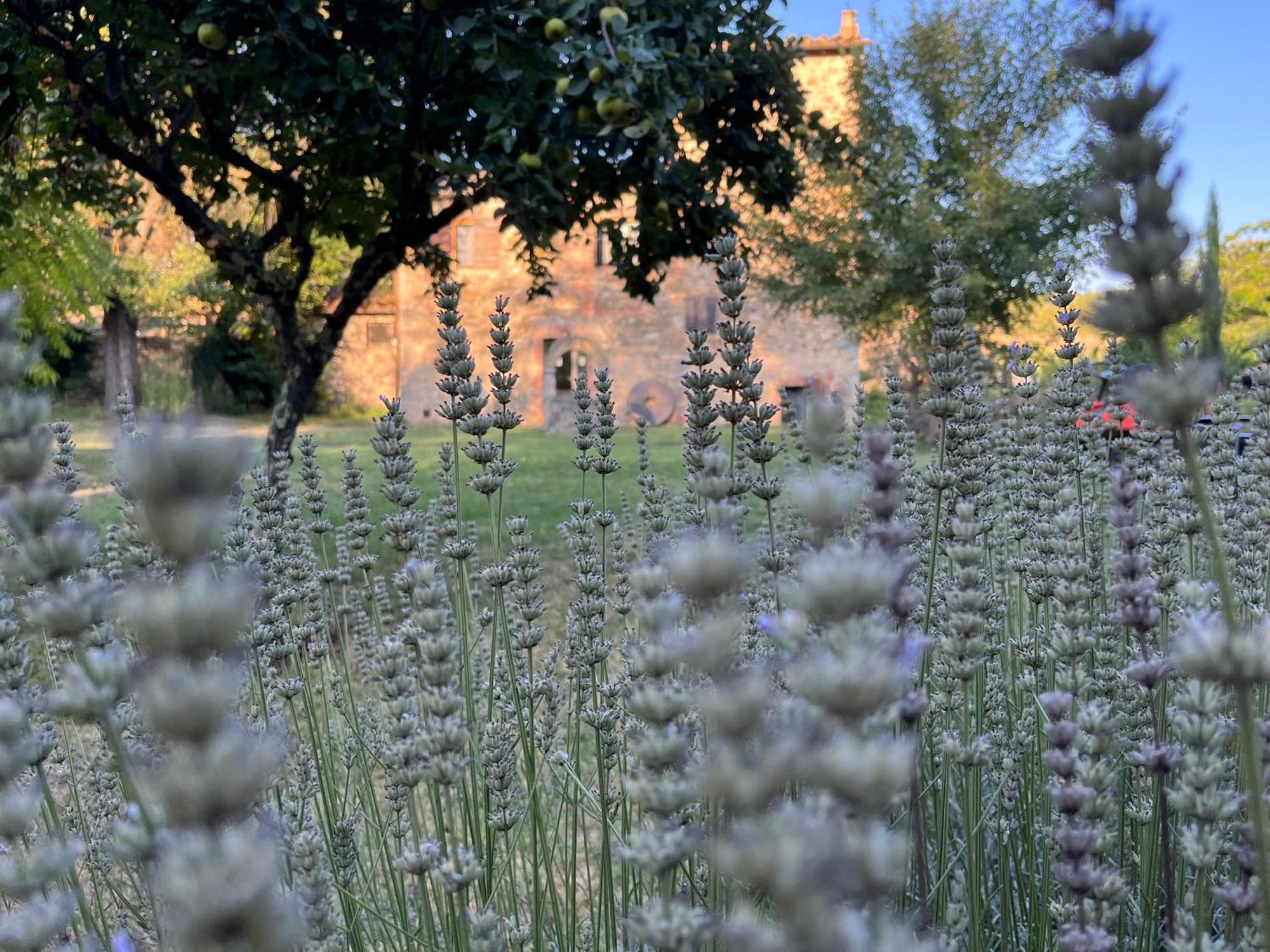 Apartmán Mulino In Chianti Gaiole in Chianti Exteriér fotografie